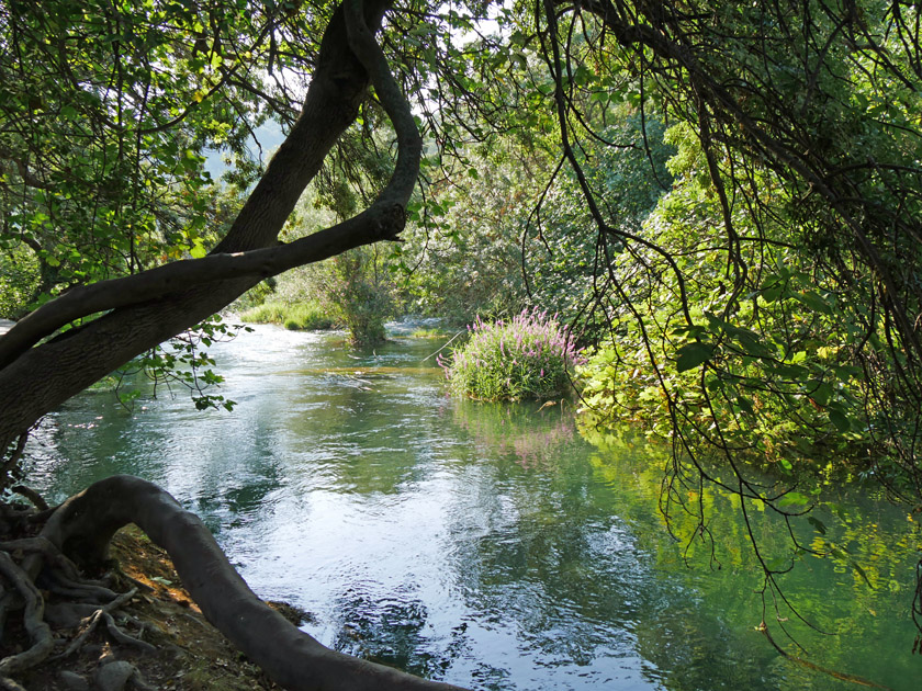 Krka River, Krka NP, Sibenic