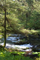 Indian River Scene along Trail at Raptor Center