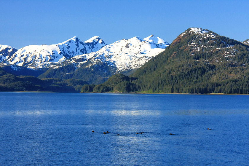 Scenery Leaving Idaho Inlet