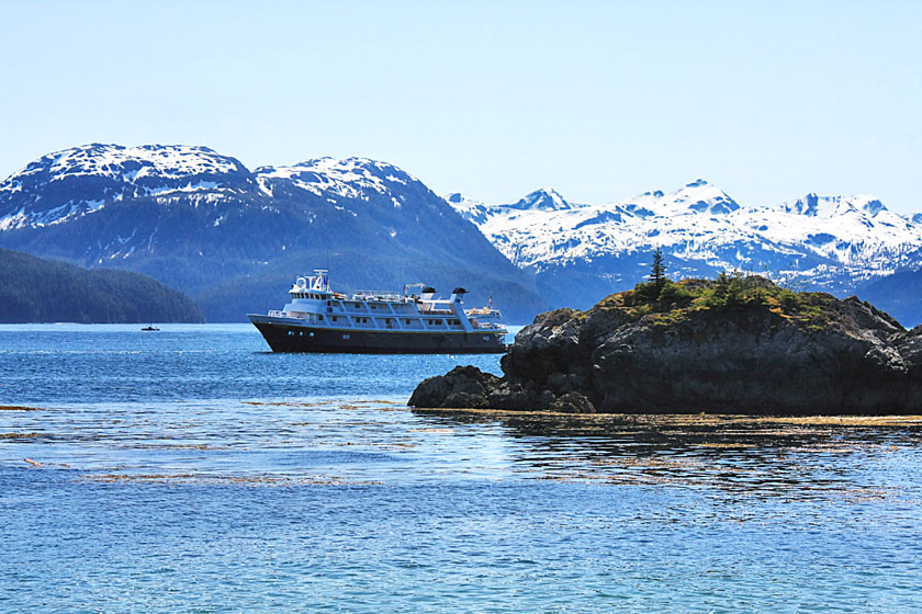 NG Sea Lion Outside Granite Cove