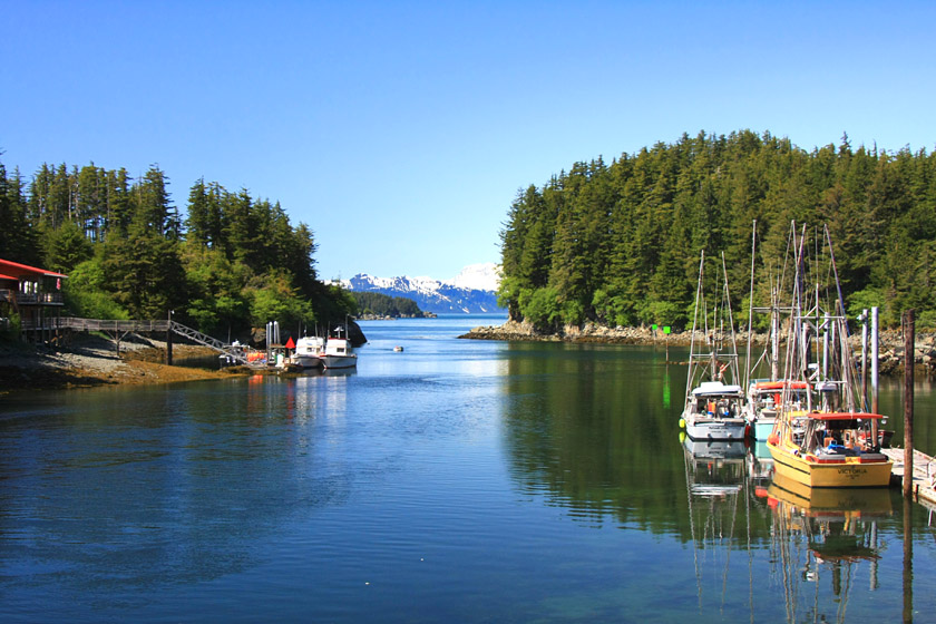 View Outward from Elfin Cove