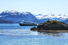 NG Sea Lion Outside Granite Cove