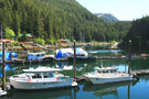 Boats and Docks in Elfin Cove