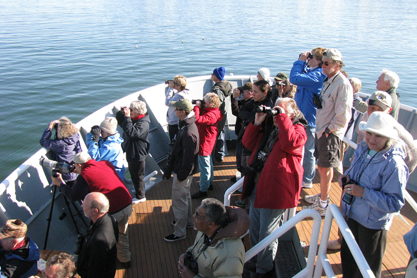 NG Sea Lion Passengers Bear Watching