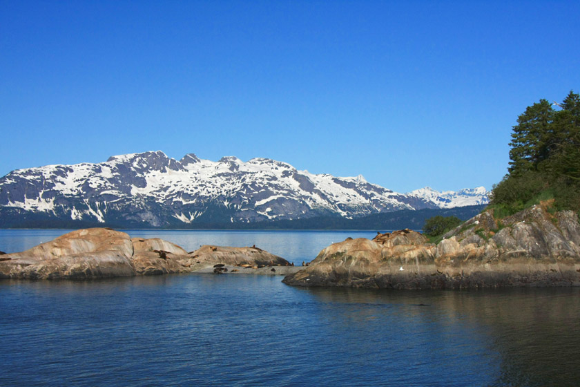 Glacier Bay Scenery with Sea Lions