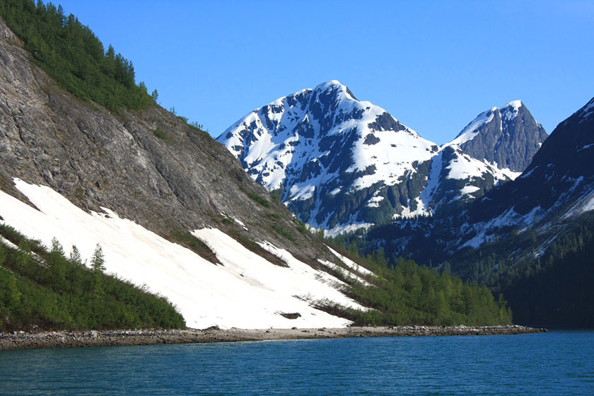 Glacier Bay Scenery