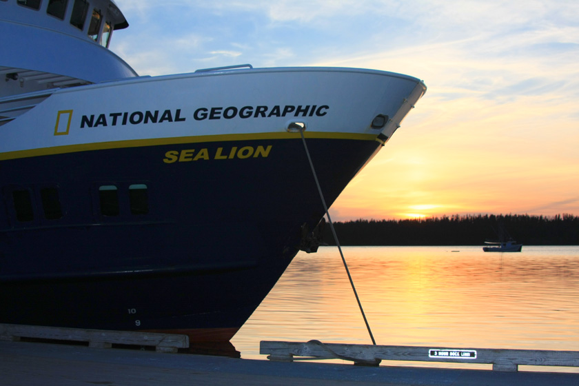 NG Sea Lion at Sunset in Bartlett Cove