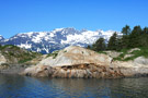 Sea Lions, South Marble Island