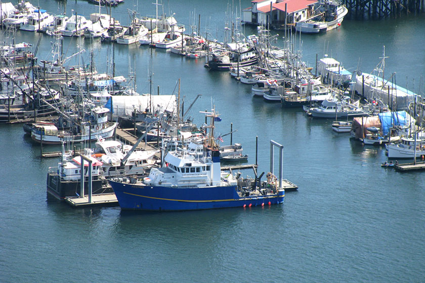 Petersburg Harbor and Boats on Approach to Landing