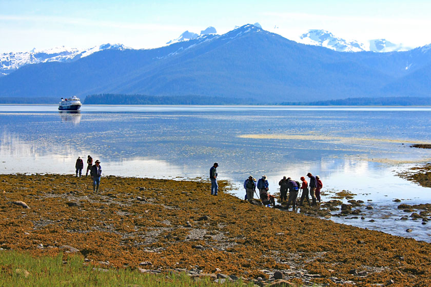 Searching for Critters in the Intertidal Zone, Ideal Cove