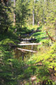 Stream Along Three Lakes Trail