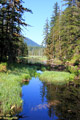 Beaver Dam Near Exit of Hill Lake, Three Lakes Trail