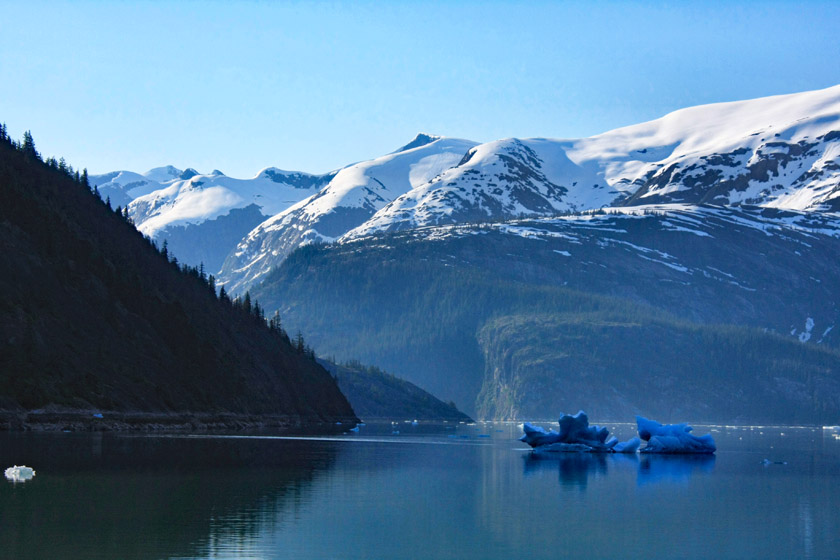 Icebergs from Dawes Glacier in Endicott Arm