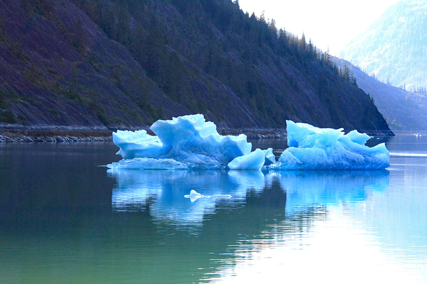 Close-up of Icebergs in Endicott Arm