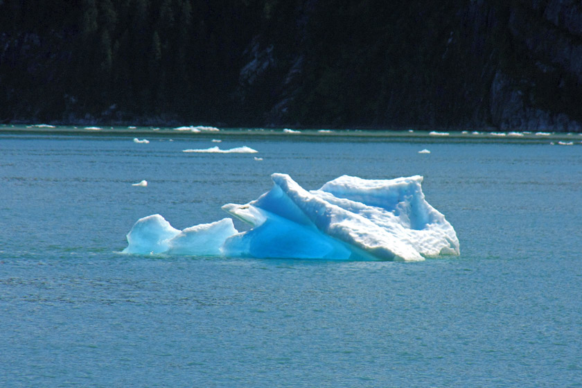 Blue Iceberg Close-up at Entrance to Ford's Terror