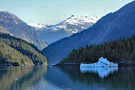 Iceberg from Dawes Glacier in Endicott Arm