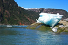 Beached Iceberg in Endicott Arm