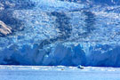 Dawes Glacier with Harbor Seal on Iceberg