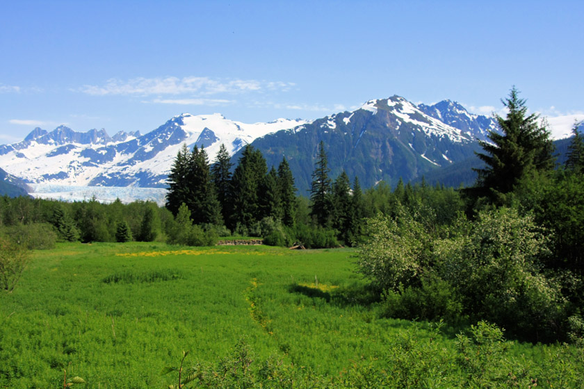 View of Mendenhall Glacier Across Meadow