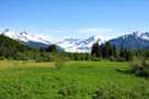 View of Mendenhall Glacier Across Meadow