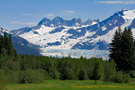 View of Mendenhall Glacier Across Meadow