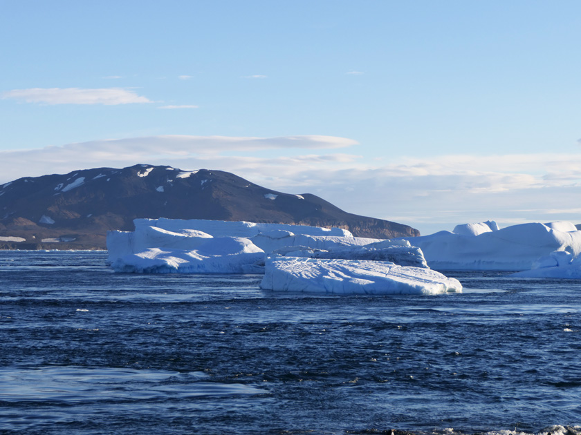 Icebergs Off Pitt Point