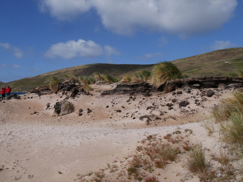 Beach at North Harbor, New Island, Falklands