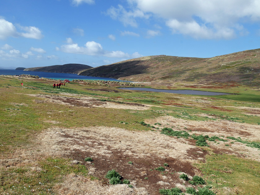 Morning Hike from North Harbor, New Island, Falklands