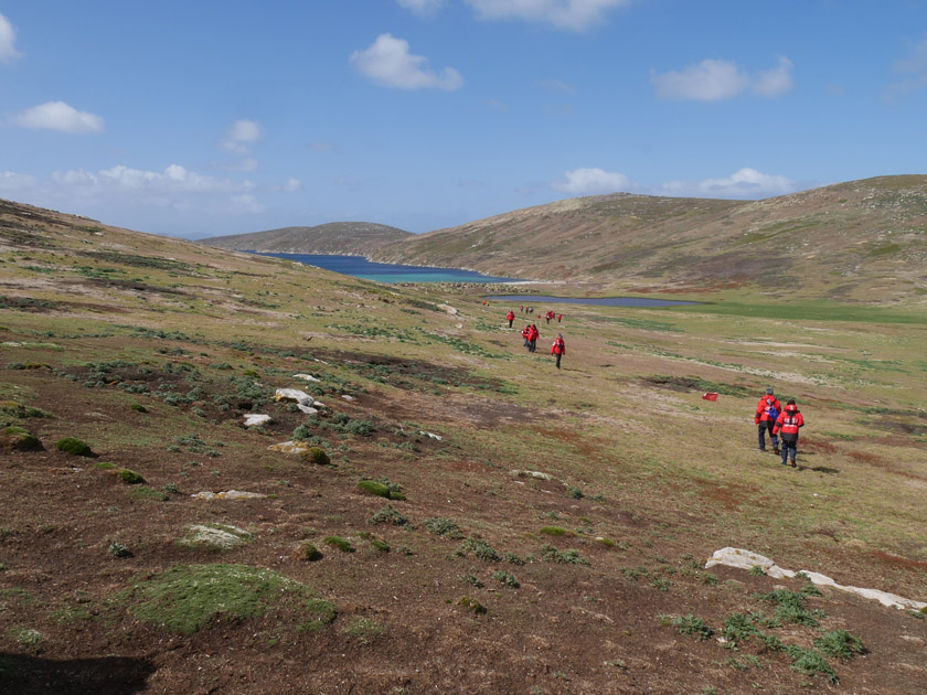 Morning Hike from North Harbor, New Island, Falklands