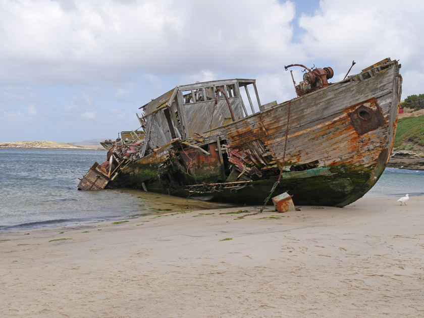 Derelict Ship, New Island, Falklands