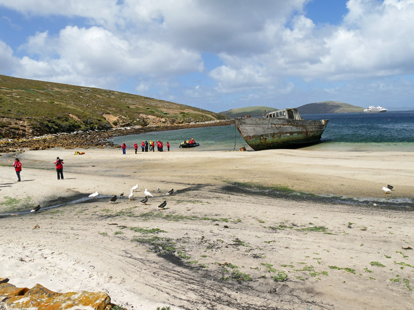 Zodiac Landing at New Island, Falklands