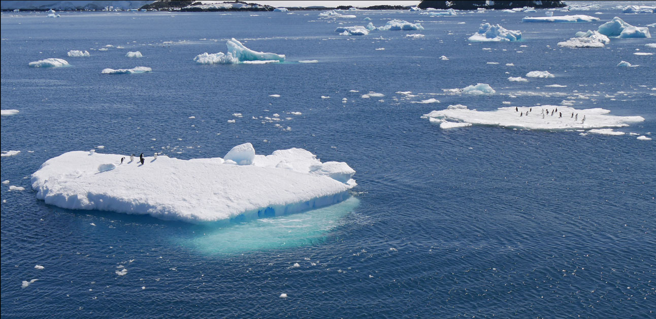 Icebergs with Adelie Penguins