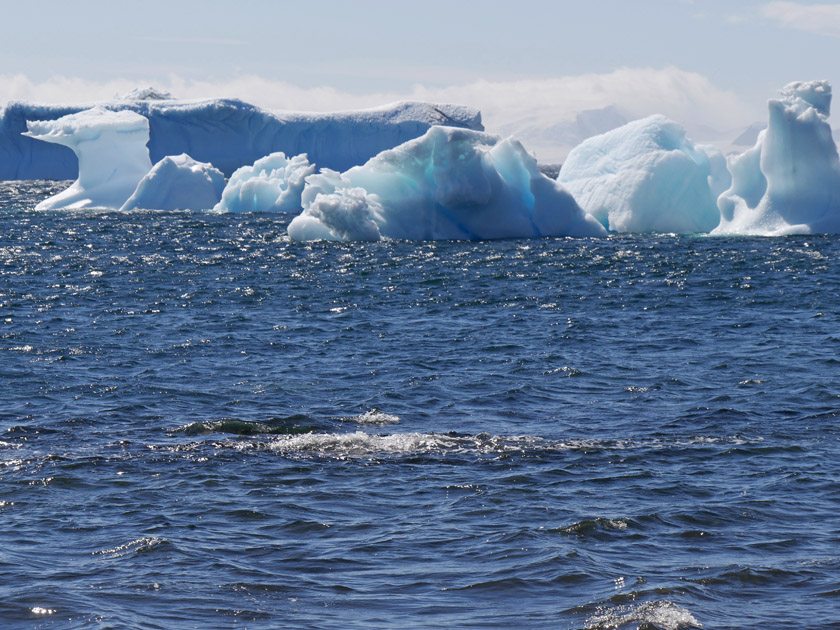 Icebergs Off Devil Island