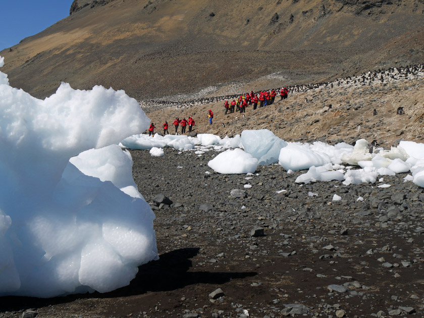 Hiking to Adelie Penguin Colony on Devil Island