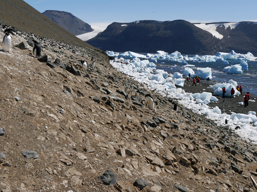 Devil Island Beach and Adelie Penguin Colony