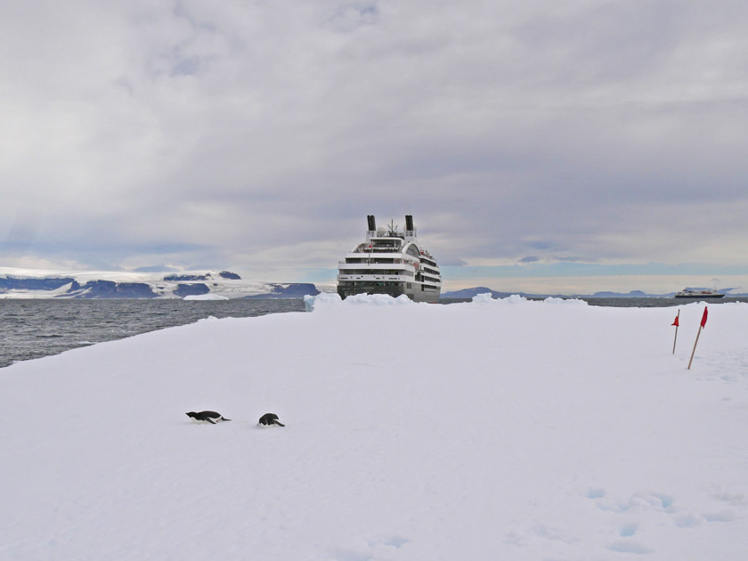 Penguins on Tabular Iceberg, L'Austral in Background