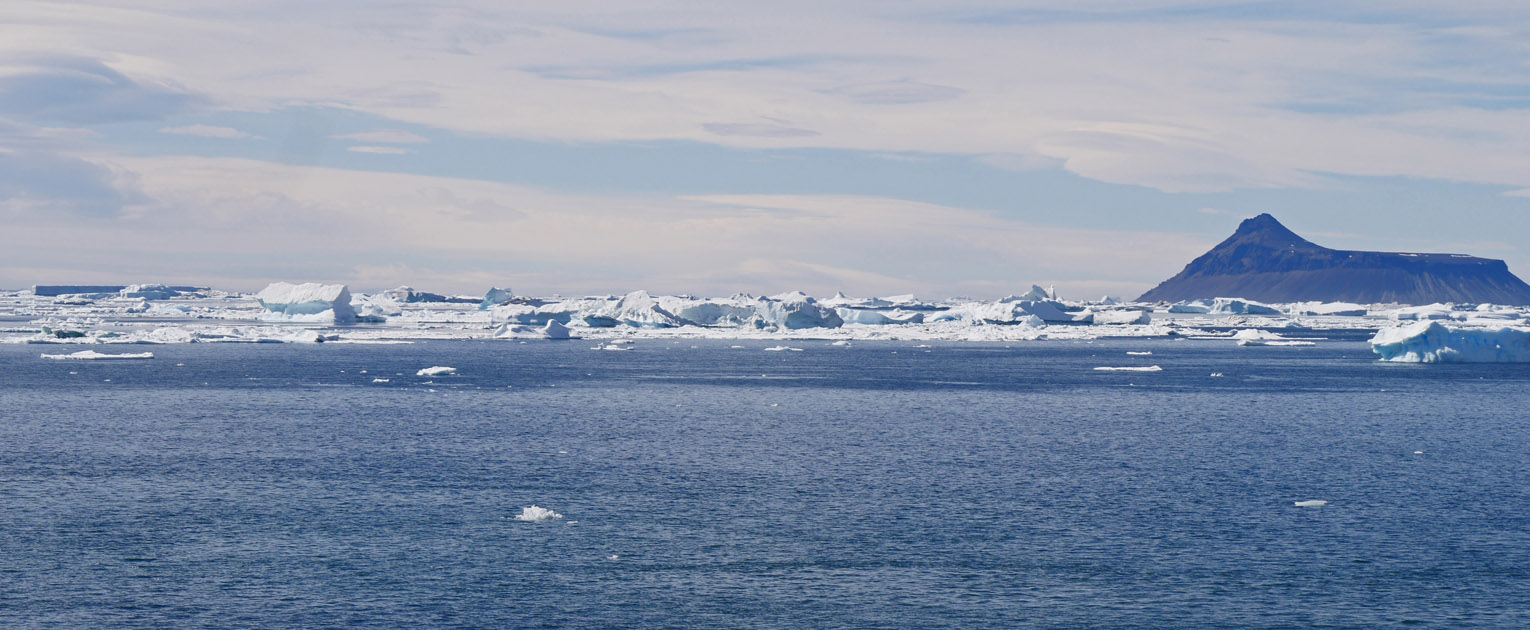 Icebergs Enroute to Snowhill Island