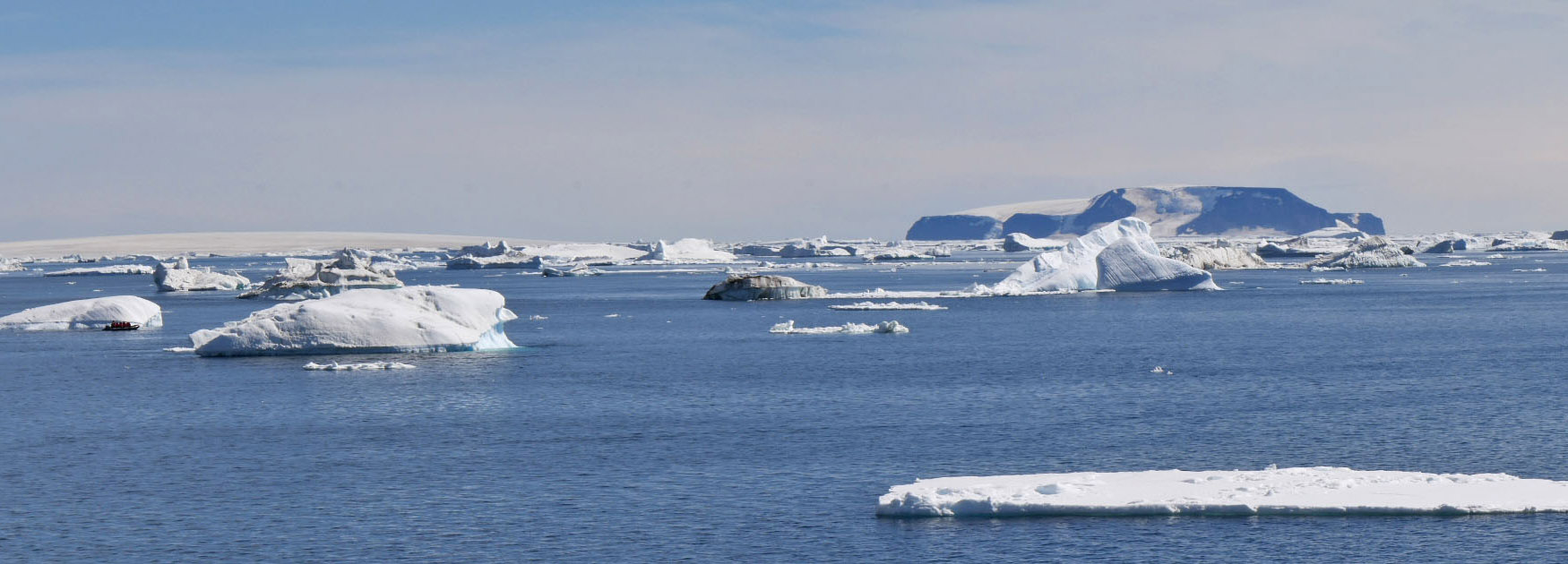 Icebergs Enroute to Snowhill Island