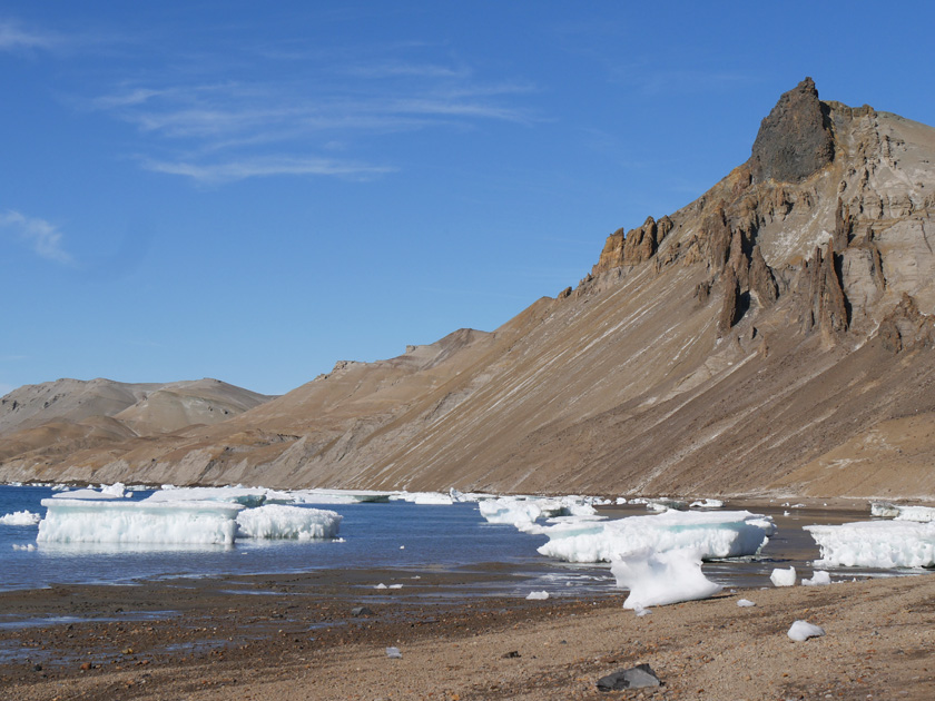 Snowhill Island Beach with Icebergs