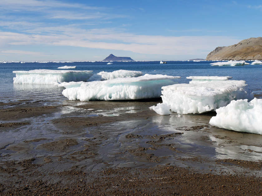 Snowhill Island Beach with Icebergs