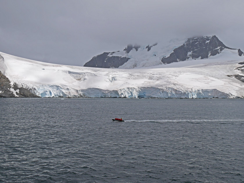 Zodiac Cruising Gibbon Bay, East Coast of Coronation Island