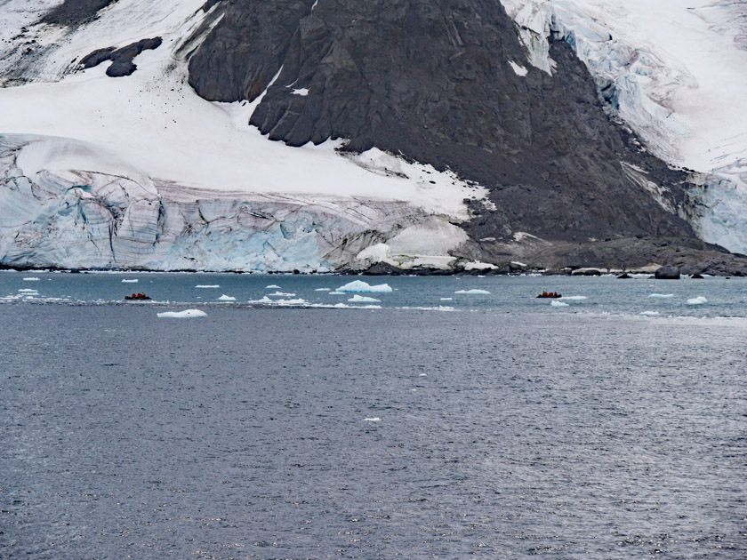 Zodiacs Cruisng Gibbon Bay, East Coast of Coronation Island