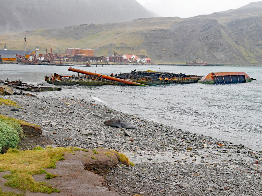 Former Whaling Town of Grytviken, South Georgia Island