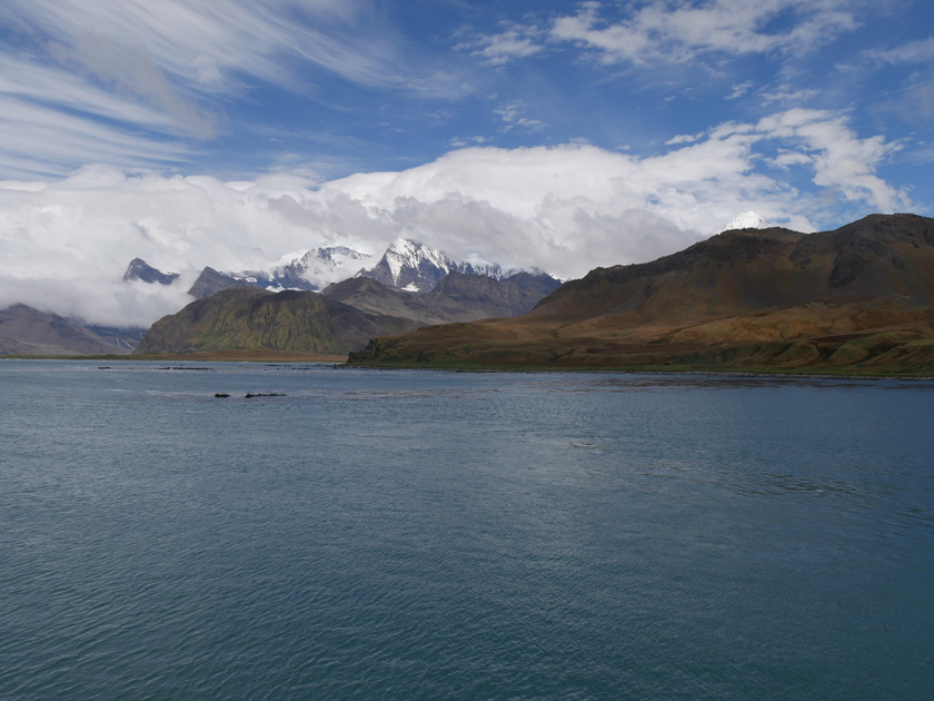 Island Scene Leaving Grytviken for Fortuna Bay