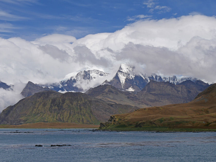 Island Scene Leaving Grytviken for Fortuna Bay