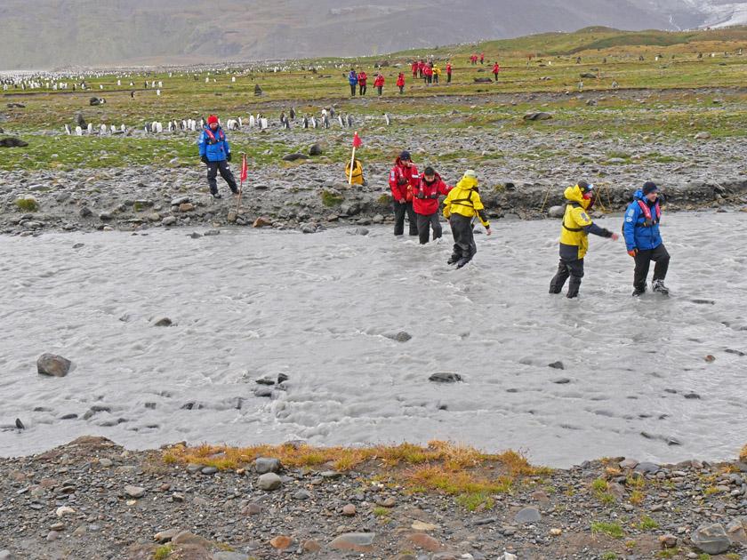 River Crossing on Hike at St. Andrew's Bay, South Georgia Island