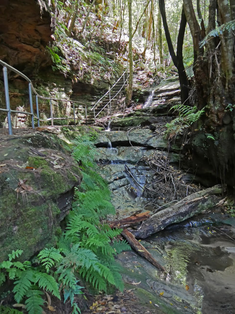 Wentworth Falls Hiking Trail, Blue Mountains