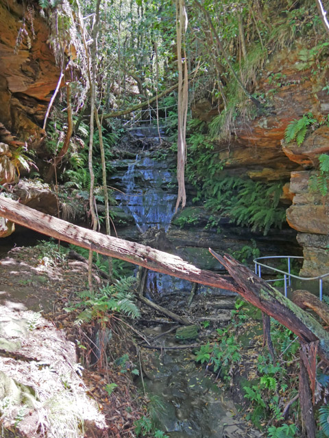 Scene Along Wentworth Falls Hiking Trail, Blue Mountains