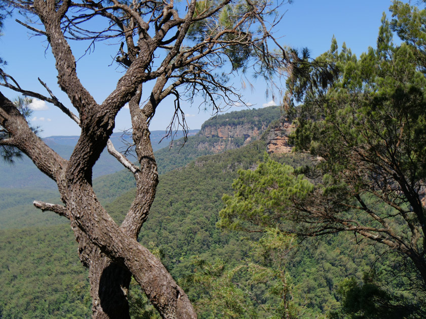 Scene Along Wentworth Falls Hiking Trail, Blue Mountains