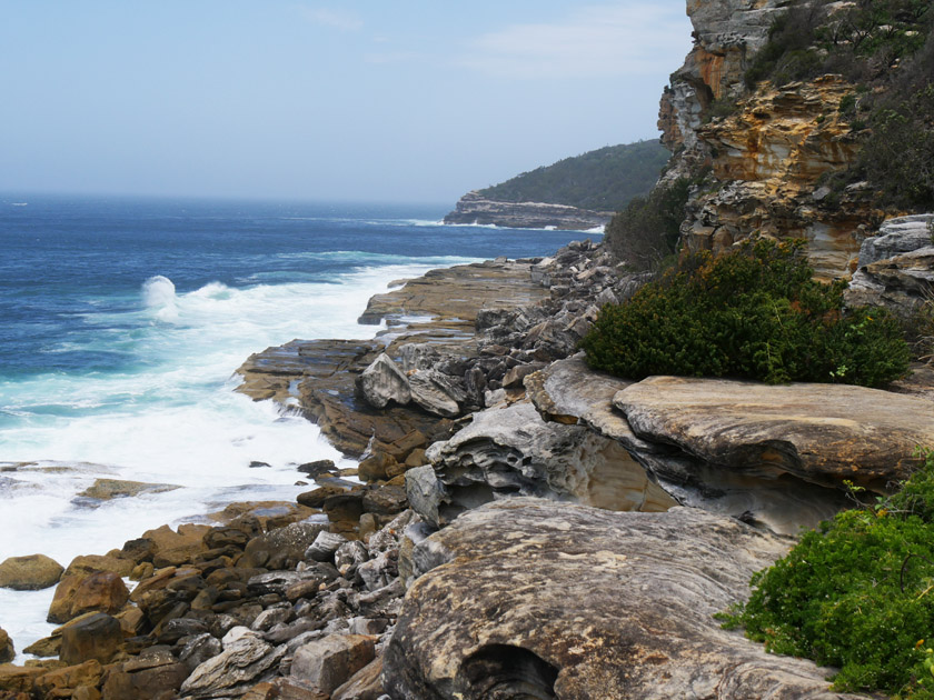 Scene Along Manly Beach Hiking Trail